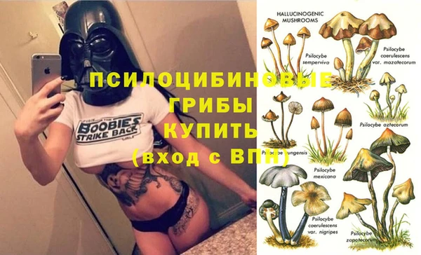 марки nbome Инта