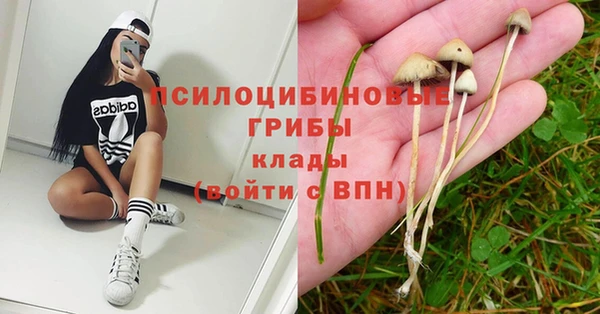 марки nbome Инта