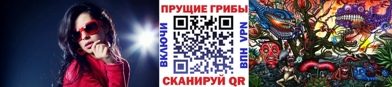 Псилоцибиновые грибы Psilocybine cubensis  Купить закладки  Гвардейск 